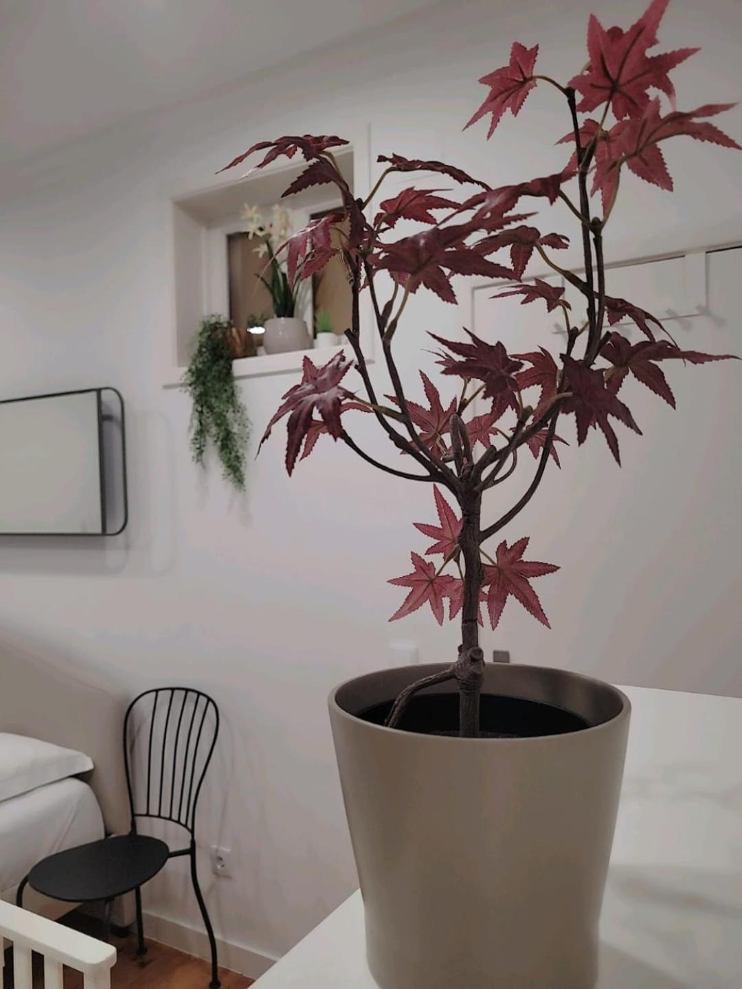 Varanda Privada Iroom Lisboa Εξωτερικό φωτογραφία
